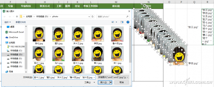 Excel制作员工档案查询-5