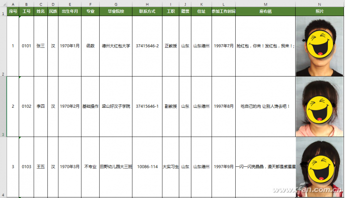 Excel制作员工档案查询-6