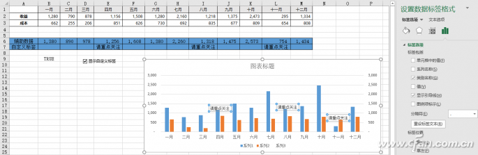 自定义动态图表标签-4