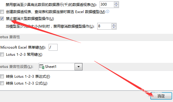 Execl如何设置禁止撤销大型数据模型操作