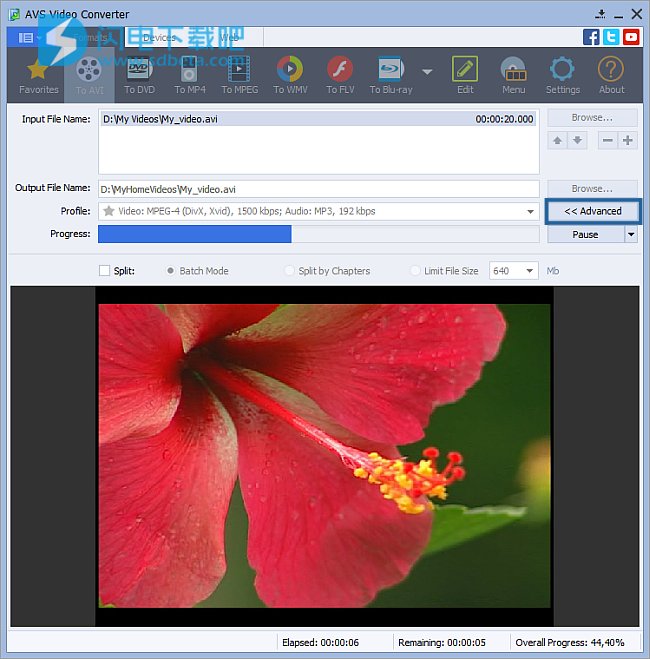 AVS Video Converter V10.1安装破解教程