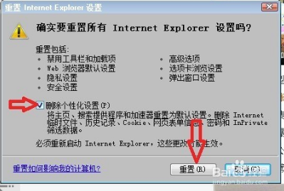 Internet Explorer 8