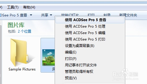 ACDSee9.0