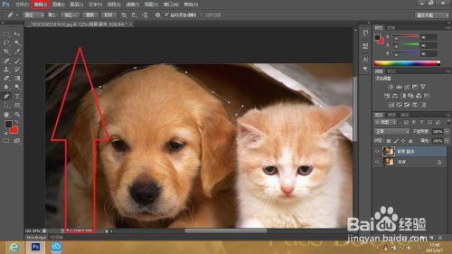 Adobe Photoshop CS6中如何撤销错误步骤