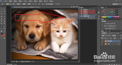 Adobe Photoshop CS6中如何撤销错误步骤