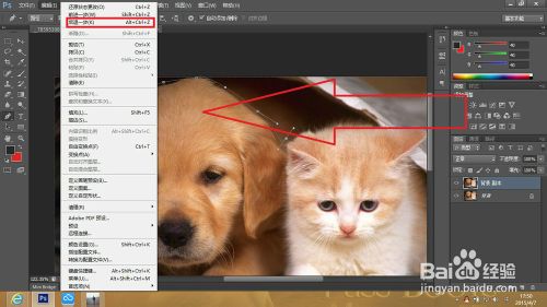 Adobe Photoshop CS6中如何撤销错误步骤