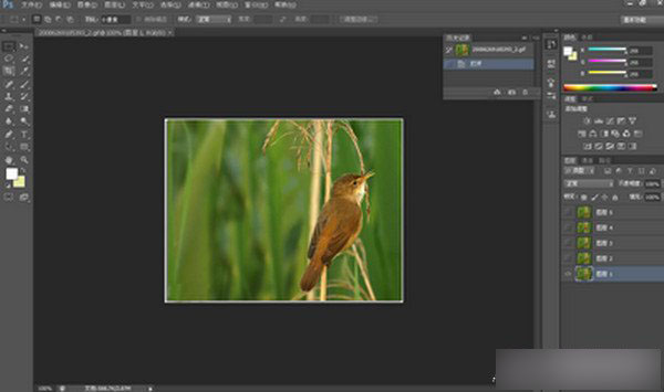 用Adobe Photoshop cc 2016 将低像素调整成高像素教程介绍