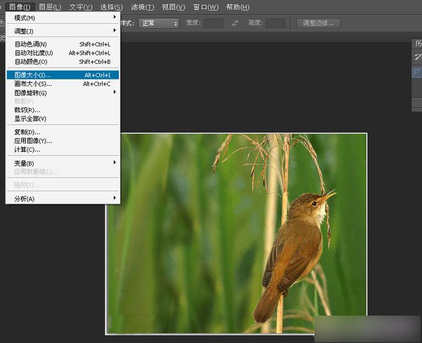 用Adobe Photoshop cc 2016 将低像素调整成高像素教程介绍