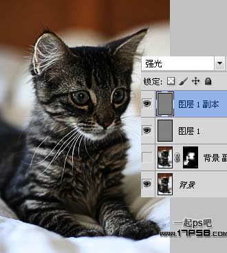 Adobe Photoshop CC 2019滤镜工具提升图片清晰度（PS）教程(图5)