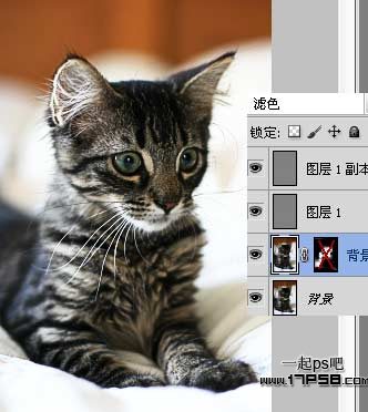 Adobe Photoshop CC 2019滤镜工具提升图片清晰度（PS）教程