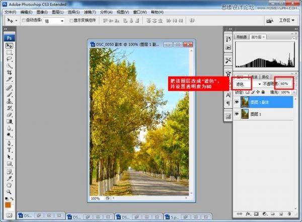 Adobe Photoshop CC 2015制作深秋黄色调效果(PS)教程(图4)