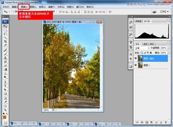 Adobe Photoshop CC 2015制作深秋黄色调效果(PS)教程(图3)