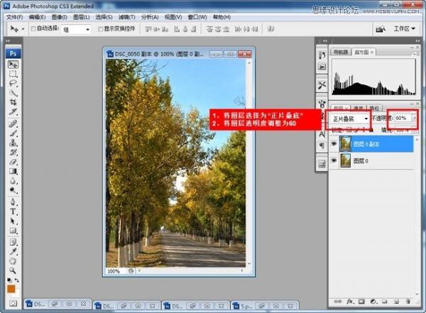 Adobe Photoshop CC 2015制作深秋黄色调效果(PS)教程(图2)