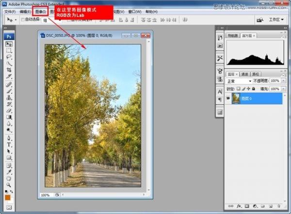 Adobe Photoshop CC 2015制作深秋黄色调效果(PS)教程(图1)