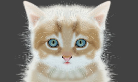 coreldraw x7在哪里能下载 平面设计用cdr x7怎么样