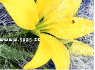 Adobe Photoshop CS5浮动面板使用技巧