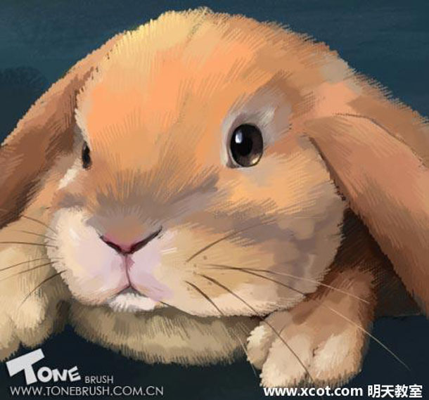 使用painter绘制可爱兔子的教程