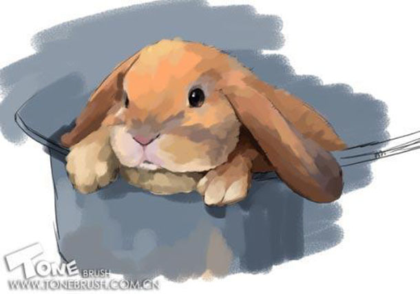 使用painter绘制可爱兔子的教程