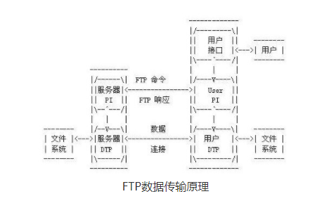 ftp服务器是什么意思（FTP服务器软件介绍）