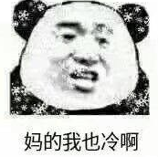 熊猫头下雪了好冷表情包下载(图2)