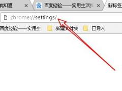 Chrome浏览器设置自动填充密码和表单的方法