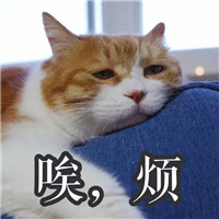 最全生无可恋表情包合集分享(图6)