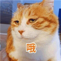最全生无可恋表情包合集分享(图5)