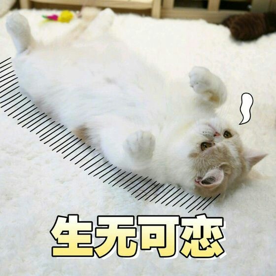 最全生无可恋表情包合集分享(图8)