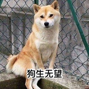 最全生无可恋表情包合集分享(图4)