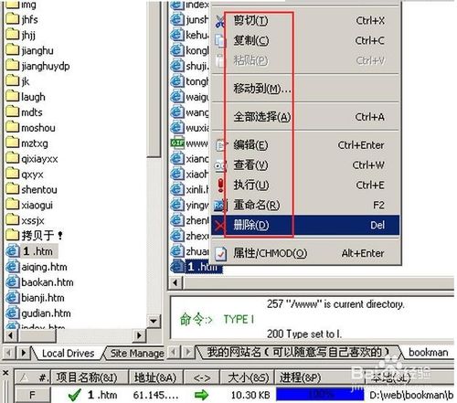 CuteFTP怎么使用？CuteFTP技巧介绍