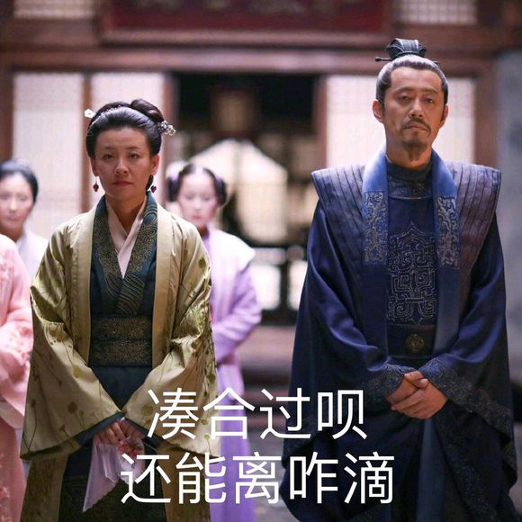 知否知否大娘子表情包 V1.0 完整版(图4)
