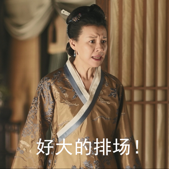 知否知否大娘子表情包 V1.0 完整版