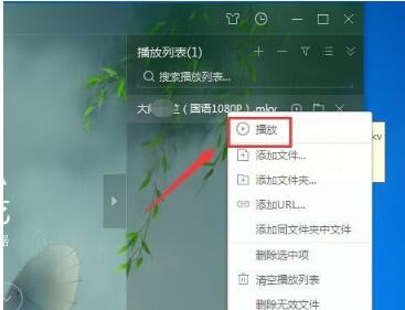 爱奇艺播放器2019（附爱奇艺最新vip账号）(图4)