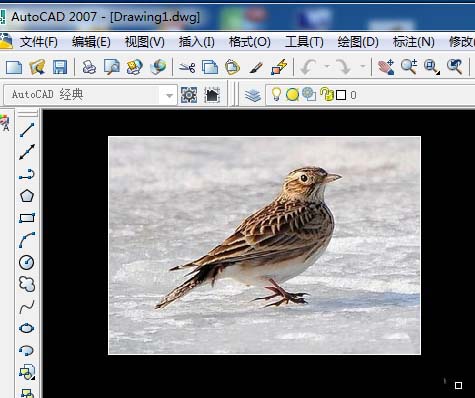 AutoCAD如何画小鸟?