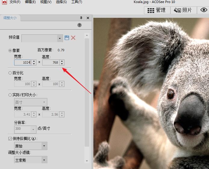 acdsee图片分辨率的调整方法