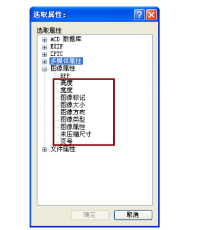 ACDSee添加更多排序选项方法