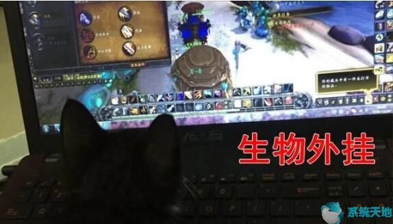 魔兽世界怀旧服如何才能不掉线？