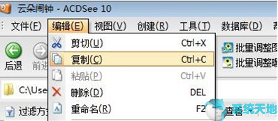 ACDSee粘贴功能的使用教程