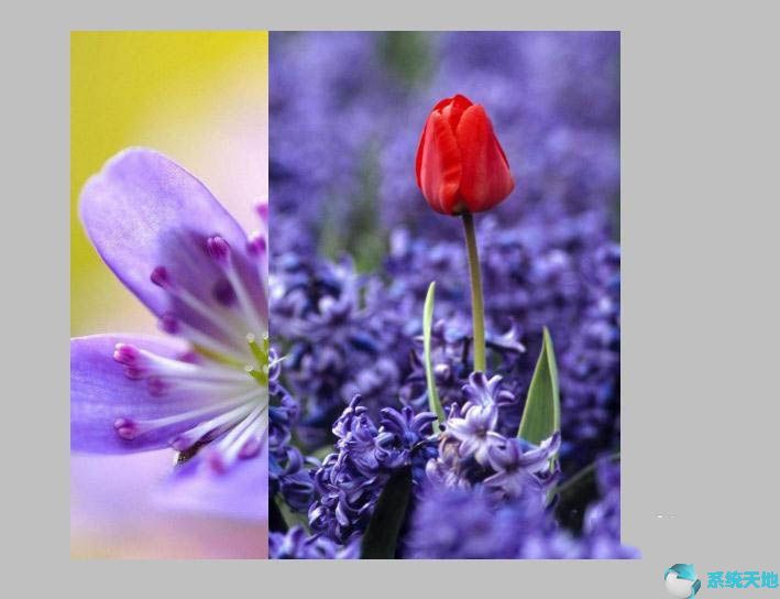 Photoshop cs5如何让两张图片自然过渡？