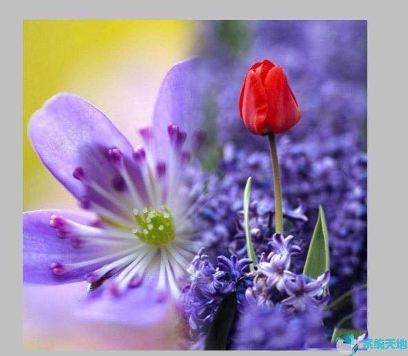 Photoshop cs5如何让两张图片自然过渡？
