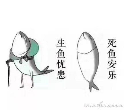 Win10系统如何实现IE和Edge收藏夹同步？1.jpg