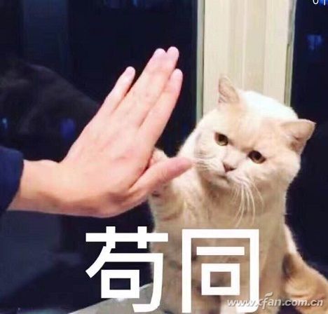 最简单的windows10系统U盘制作教程2.jpg