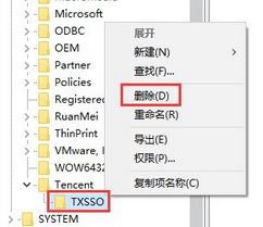 Win10专业版下电脑管家登录组件错误4