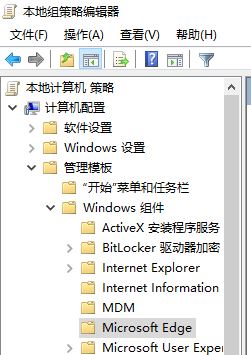 edge浏览器不能看视频