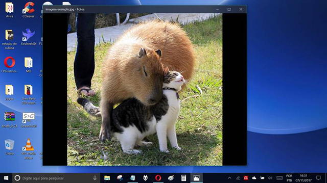 如何使用自带的Windows 10应用程序编辑图像