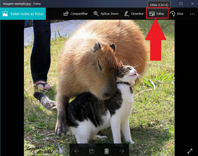 如何使用自带的Windows 10应用程序编辑图像