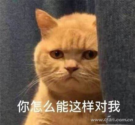 Win10专业版电脑登录密码搞丢了咋办！