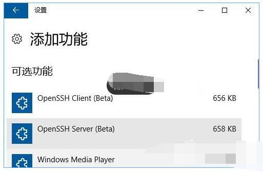 Win10专业版内置OpenSSH的安装技巧2.jpg
