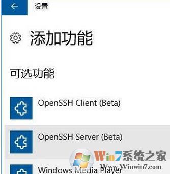 OpenSSh是什么?Win10专业版如何安装OpenSSh?