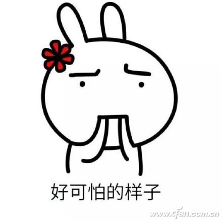 下载